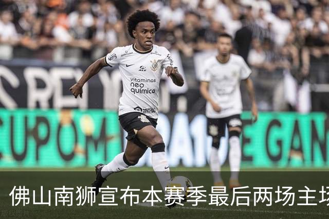 佛山南狮宣布本赛季最后两场主场比赛免费开放